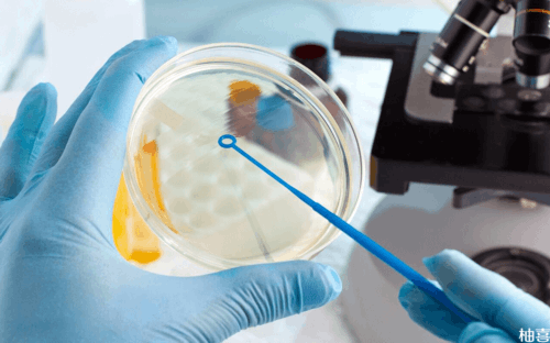 温州三代试管婴儿哪个好