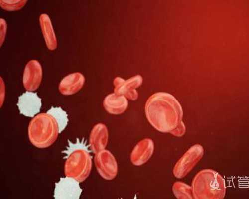 温州哪家做试管医院最好「温州试管哪个医院好」