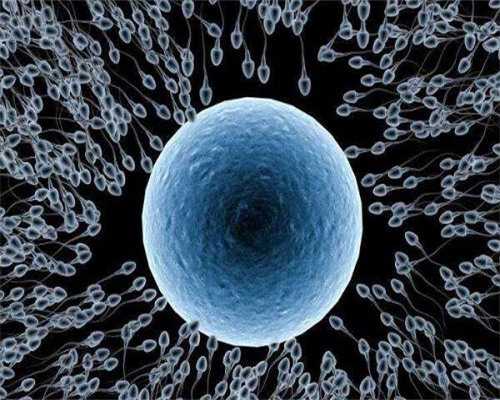 输卵管堵塞也分级(难怀孕在哪一级)