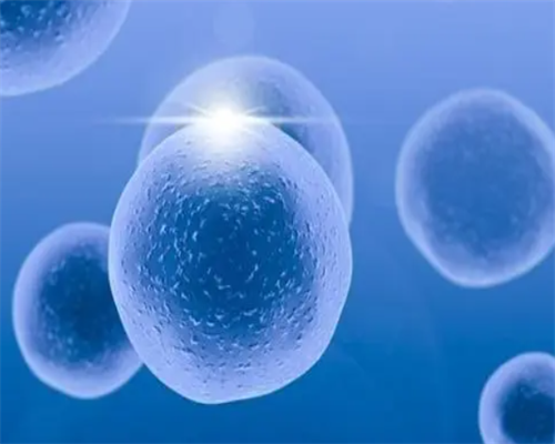 代怀包男孩多少钱_代生男孩包成功,56岁没月经想试管婴儿可以吗？要怀孕“供