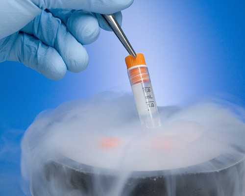 温州三代试管机构「温州三代试管婴儿医院」