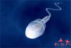 浙江专业代孕医院，浙江温州有哪些可以申请供卵做试管婴儿的医院？