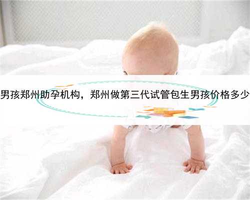 代孕者联系方式，包男孩郑州助孕机构，郑州做第三代试管包生男孩价格多少？