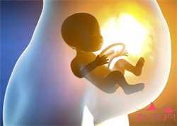温州借卵子很难吗，温州温医附二院试管婴儿身体检查