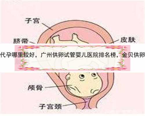 看代孕哪里较好，广州供卵试管婴儿医院排名榜
